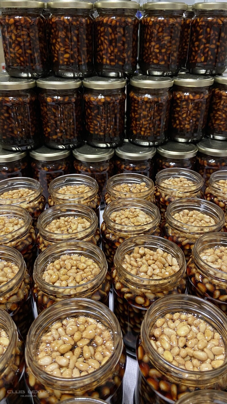 ����-���, �������, �����, ������� � ��������� �����