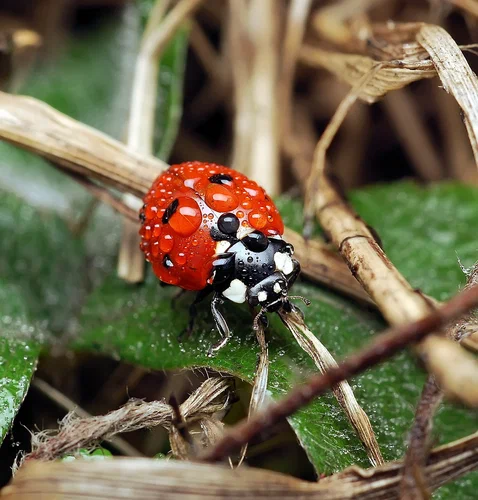 ��� ���� �634 �������������������