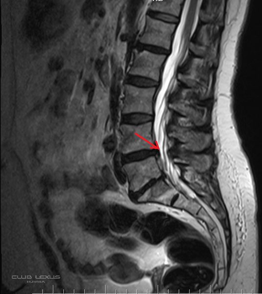 ��� ���� �635 ��������������������������