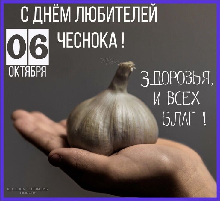 ��� ���� �641 �������������
