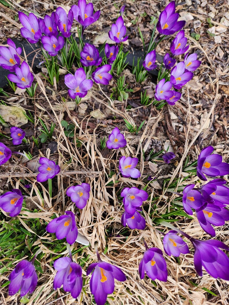 ��� ���� �635 ��������������������������