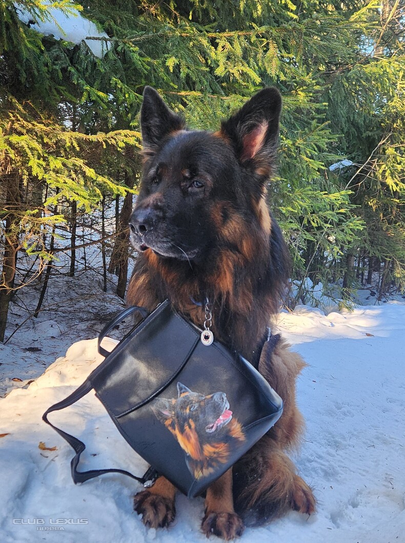 ��� ���� �634 �������������������