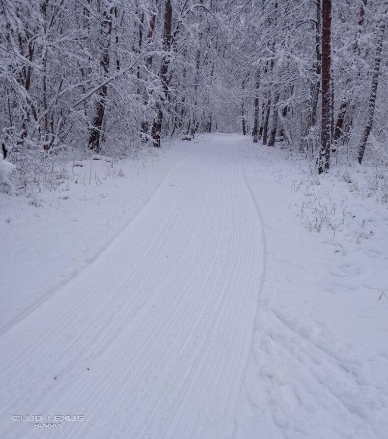 ��� ���� �631 ��������������