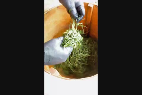 ����-���, �������, �����, ������� � ��������� �����