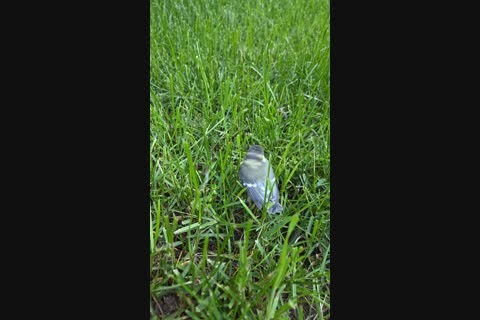 ��� ���� �637 ����������������
