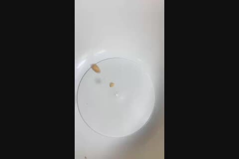 ����-���, �������, �����, ������� � ��������� �����