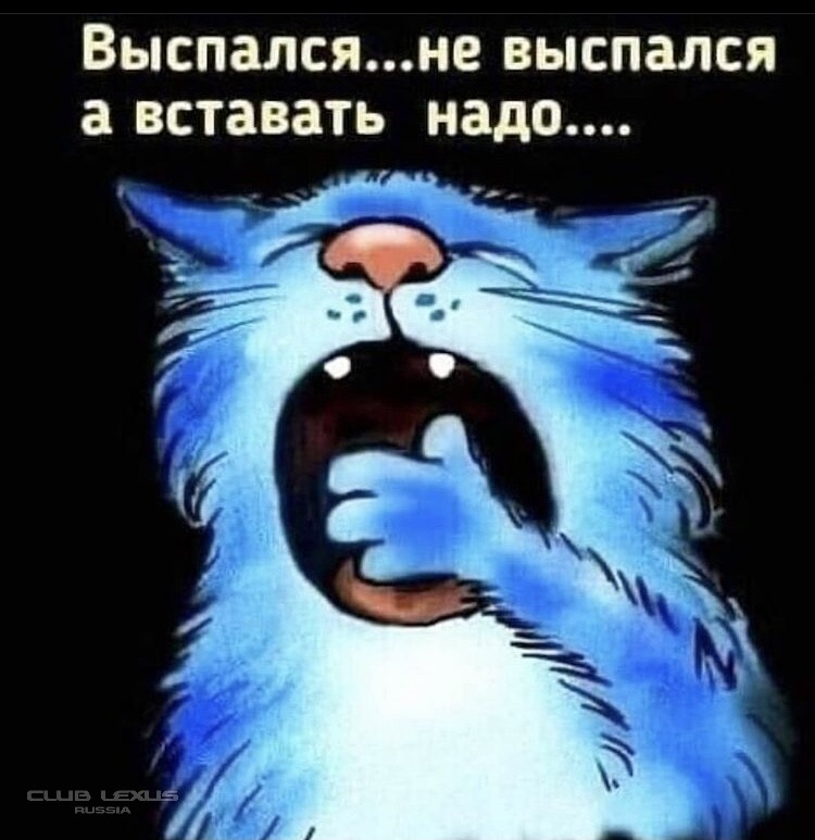 Невыспавшееся утро