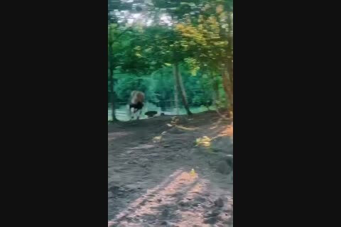 ��� ���� �640 ��������������������