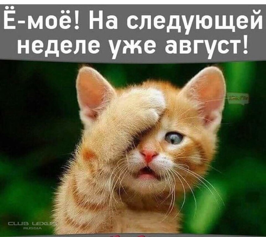 Картинки про август с надписями