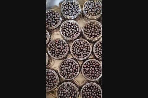 ����-���, �������, �����, ������� � ��������� �����