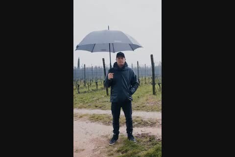 ������� �� ���� ������� 1