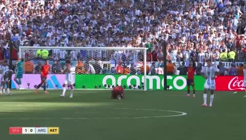 ������ - ��� ������, ��� ����.