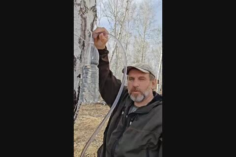 ����-���, �������, �����, ������� � ��������� �����