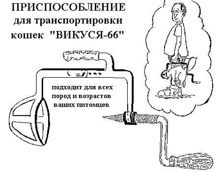 Переноска для кошек прикол картинка