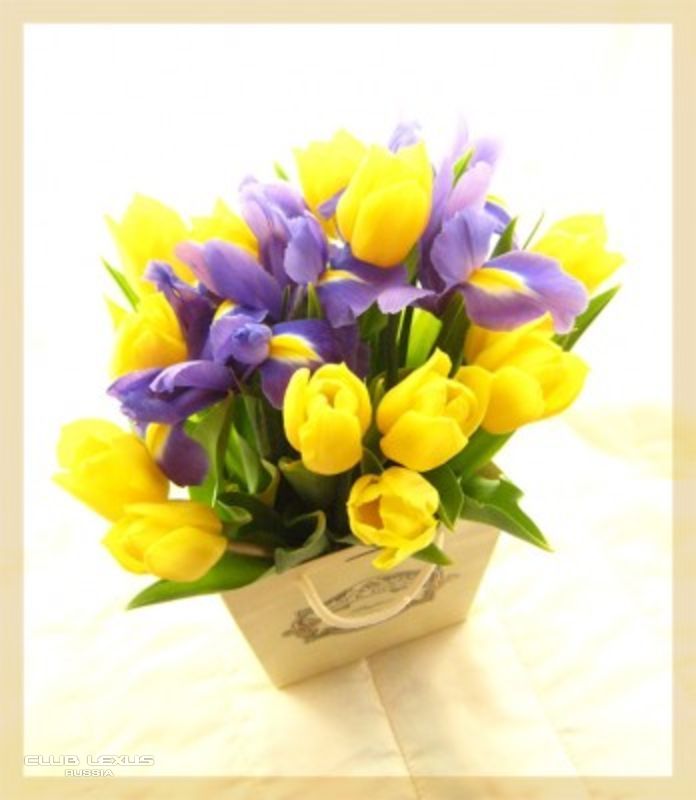 Открытка с днем рождения тюльпаны с пожеланиями
