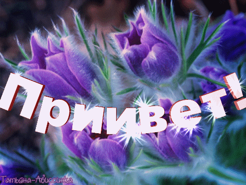 Фото приветствую вас. Фото приветствую вас. Фото приветствую вас. Надпись добро пожаловать. Фото добро пожаловать в группу.