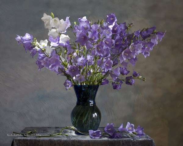  ph_one   !!!!