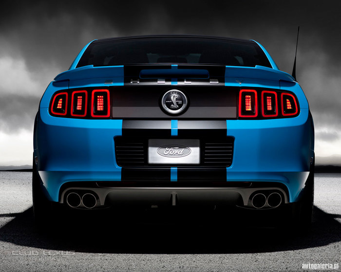 ford mustang shelby gt500 2013 #11