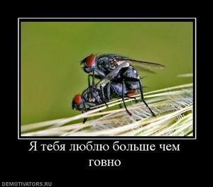 Разговариваем картинками))))