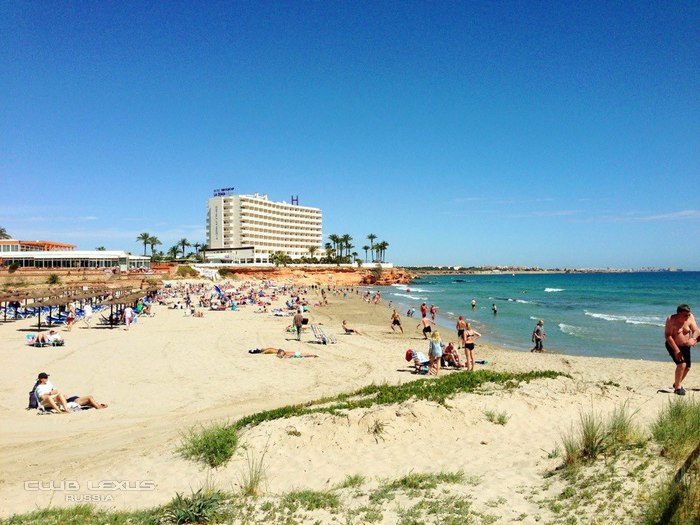 Lexus Club Spain