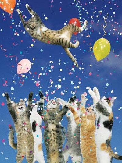 Днем рождения кот Изображения – скачать бесплатно на Freepik