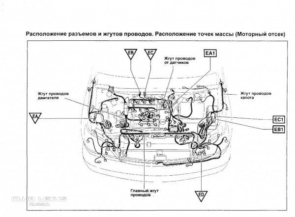 Точка массы. Точки массы Авенсис. Схема массы Авенсис. Точки массы Toyota Vitz. Точки массы Toyota Sienna.